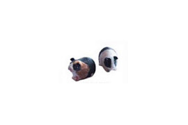fig125